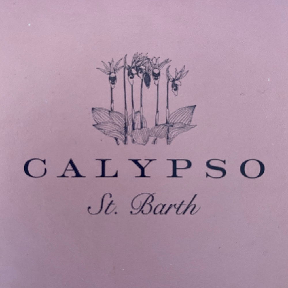 Calypso St. Barth Necklace Bundle - Picture 7 of 9